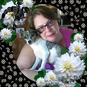 Meet your Posher, Karen